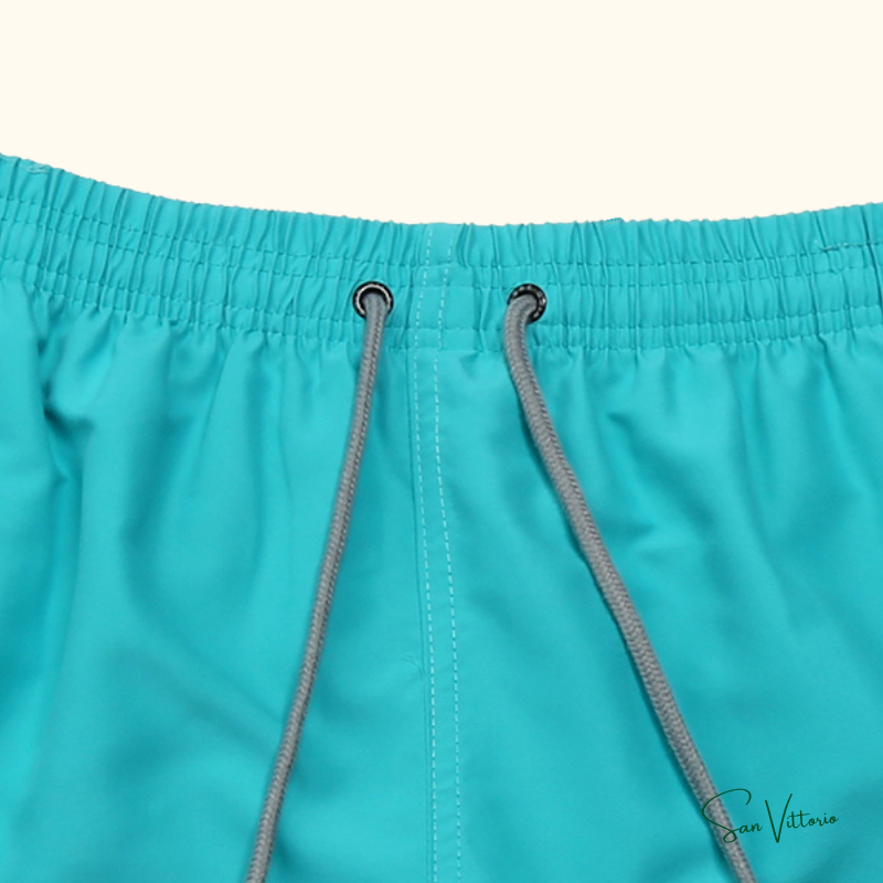 Shorts "Solid Colors" Vilebrequin