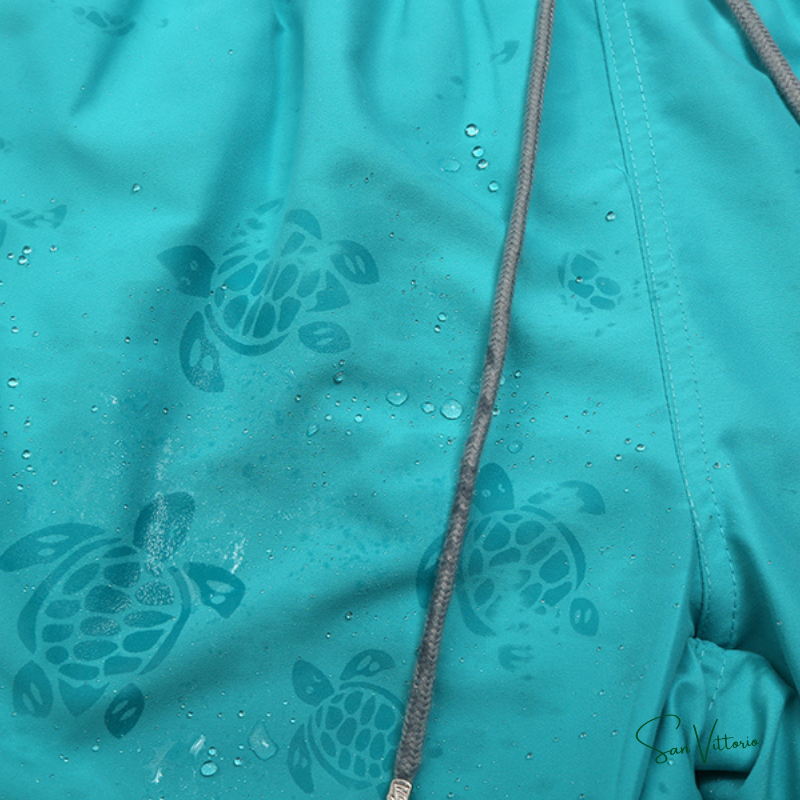 Shorts "Solid Colors" Vilebrequin